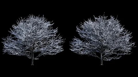 2 blowing on the wind beautiful full size winter trees with snow, alpha included Vidéo 81376447