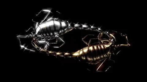 2 bugging scorpions Stock Footage 292229851