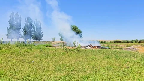 2 burning trash Stock Footage 314908764