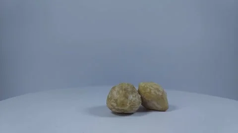 2 candlenut from the side1 Stock Footage 329623215