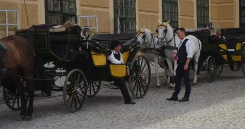 2 carriages with horses and driver in vienna 스톡 동영상 201008033