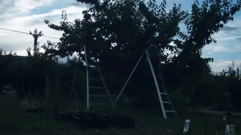 2 cherry pickers on a ladder Stock Footage 99994964