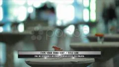 2 Color Lower Third Stock After Effects