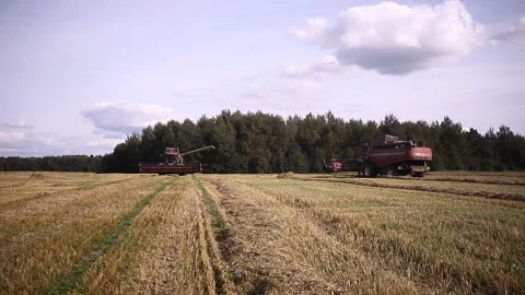 2 Combine harvester in the distance Stockbeeldmateriaal 163982829