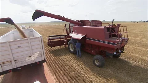2 Combines at grain truck 스톡 동영상 42340176