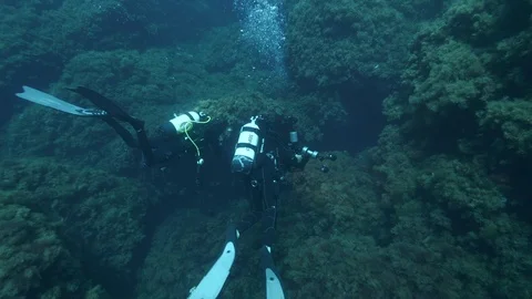 2 diver on the seabed covered with seaweed, Ustica, Mediterranean sea Stock Footage 126929712