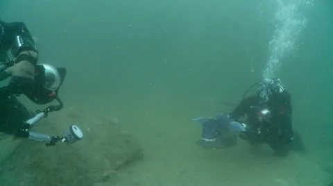 2 divers 2 congers eels Video stock 12501827