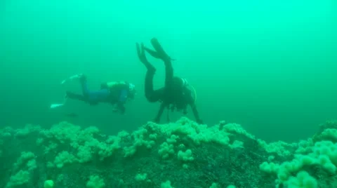 2 divers dedmins fingers Stock-Footage 12469400