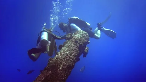 2 divers research the part of wrecking ship on bottom of sea. Maldives Stock Footage 171376645