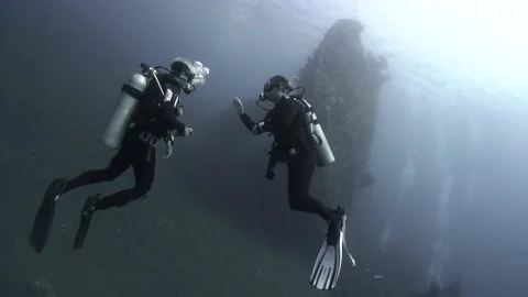 2 DIVERS UNDER THE SEA 스톡 동영상 216287590