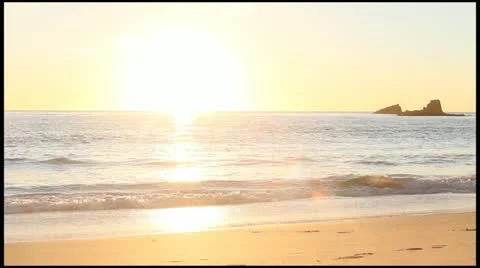 2 Dogs playing on the beach at sunset 库存影片 21978043
