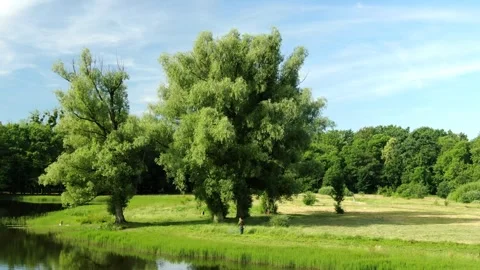 2 flying a drone over a field, lawn mower, road in the field Stock Footage 267404138