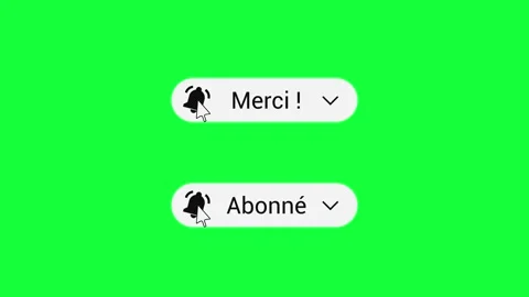 2 French Subscribe Buttons - Red to Subscribed and Thank You - 4K Green Screen Stock Footage 329617199