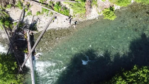 2 guys going for a swim in the river in the sun Stock Footage 236888507