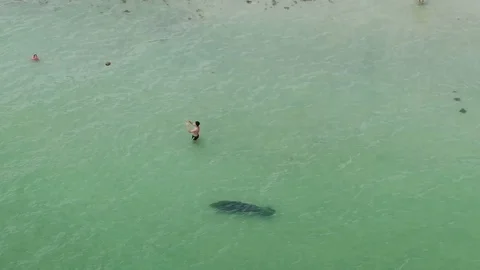2 Guys Throwing a football over a manatee at the beach, unaware it was there Stock Footage