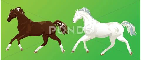 2 horses on green background Stock Illustration