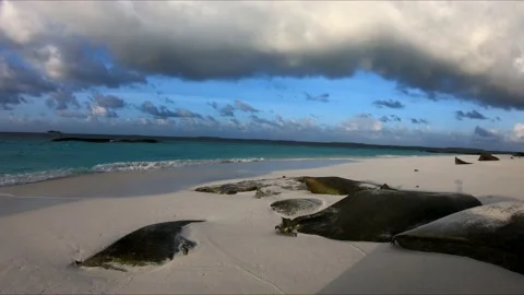 2. Indian Ocean view Stock Footage 155727189