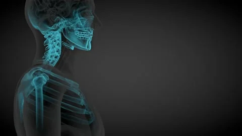 Science Body Organs Stock Videos – Royalty-Free HD & 4K Videos | Page 4