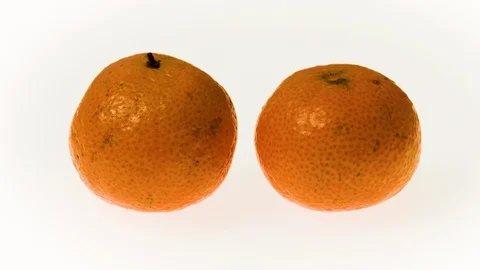 2 mandarins Stock Footage 103466280