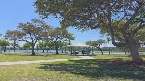 2 May 2024 Miami, Florida - Walking Miami Beach Area Street Video stock 334063294