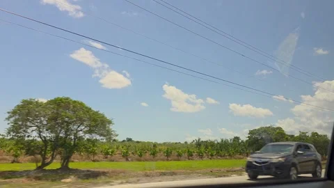 2 May 2024 Miami, Florida - Driving Interstate Miami Freeway Street Stock Footage 334433574