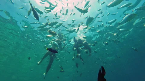 Men Underwater Stock Videos – Royalty-Free HD & 4K Videos