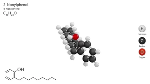 2-Nonylphenol. 3D model of a molecule. C15H24O.  White background. 3D render Stock Footage 294534805