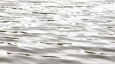 2 NTgyMik Stock Footage 336795262