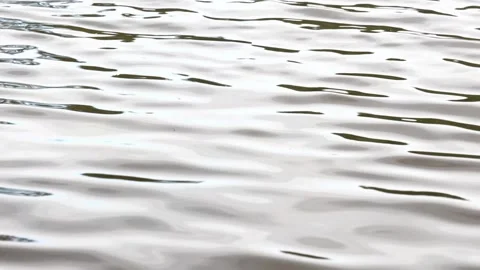 2 NTgyMSk Stock Footage 336794864