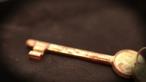 2 old keys Stock Footage 132281006