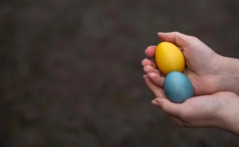 2 Painted eggs for Easter in the colors of the flag of Ukraine in the hands,  Stock Photos