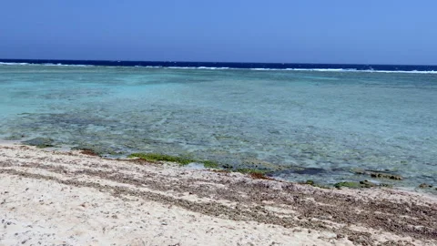 2 Paradise Beach And Red Sea With Reef In Egypt 스톡 동영상 332717548