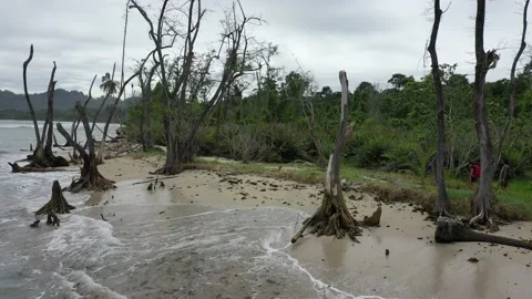 2 people lost on beach Stock Footage 149204066