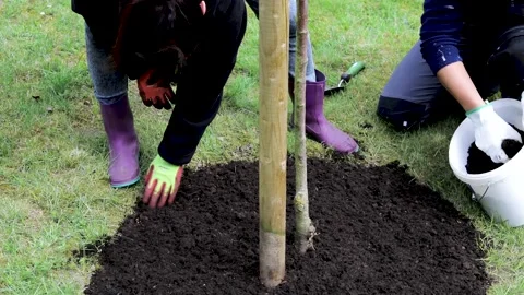 2 people spreading fresh soil on the ground, planting seeds 스톡 동영상 130655708