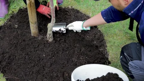 2 people with work gloves spreading fresh soil on the ground, planting seeds 스톡 동영상 130655671