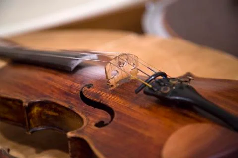 2 philharmonic Stock Photos