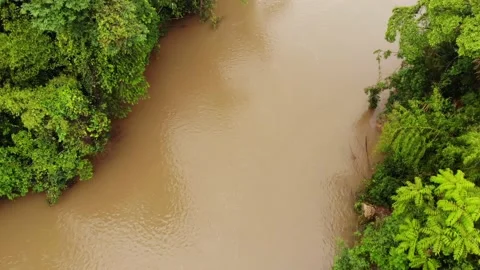 2 PLAMAS Stock Footage 136203818