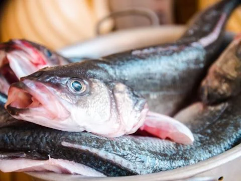 2 raw fish laying on colander to be cooked Stock Photos