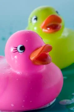 2 rubber ducks, close-up Stock Photos