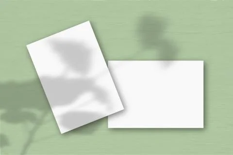 2 sheets of white textured paper against a green wall. Mockup Stock Illustration
