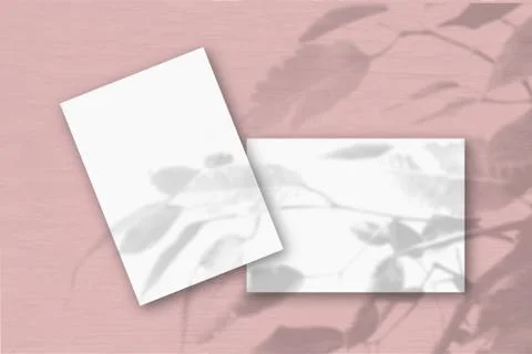 2 sheets of white textured paper against a pink wall. Mockup overlay with the Illustrazione stock