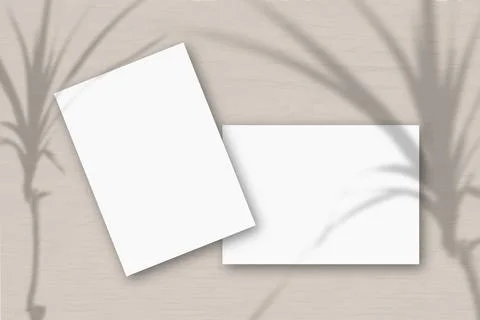 2 sheets of white textured paper against a gray wall. Mockup overlay with the Stock Illustration