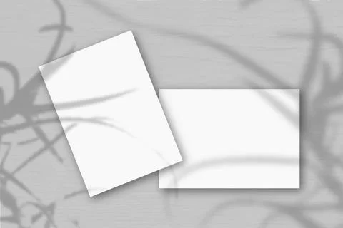 2 sheets of white textured paper against a gray wall. Mockup overlay with the Stock Illustration