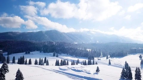 2 shots from drone above the trees Video stock 97468420