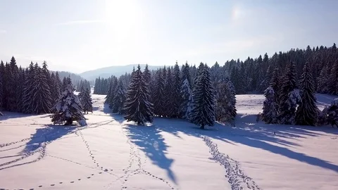 2 shots from drone Video stock 97472419