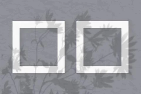 The 2 square frames on a pastel gray wall background. Mockup overlay with the Stock Illustration