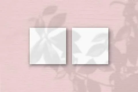 2 square sheets of white textured paper on the pink wall background. Mockup o Illustrazione stock
