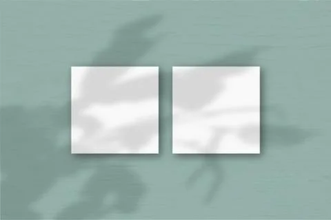 2 square sheets of white textured paper on the green wall background. Mockup  Stock Illustration