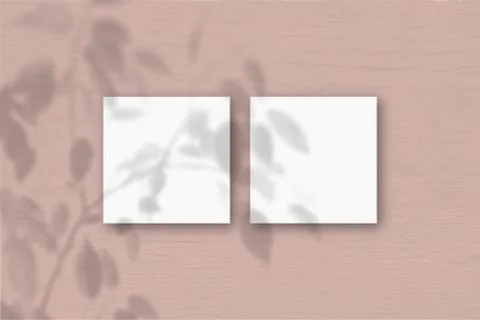 2 square sheets of white textured paper on the pink wall background. Mockup o Stock Illustration