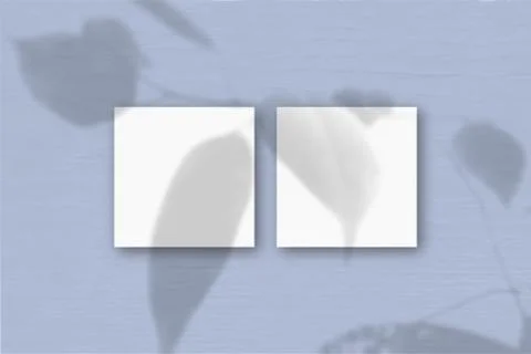 2 square sheets of white textured paper on the blue wall background. Mockup o Stock Illustration